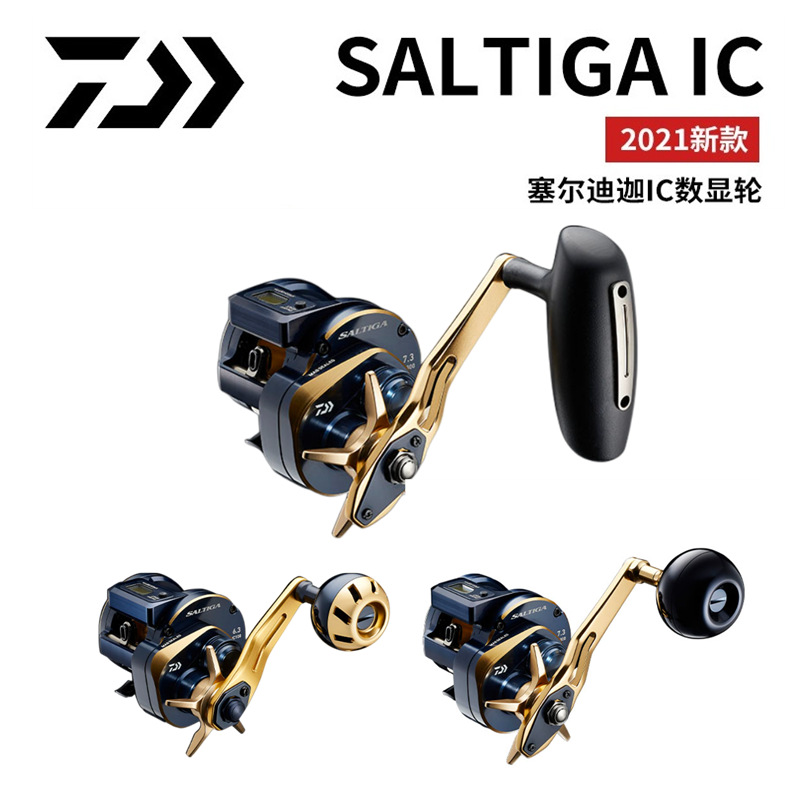 21 Japanische DAIWA Daiwa SALT – Electric Fishing Reel Bewertung und Preis