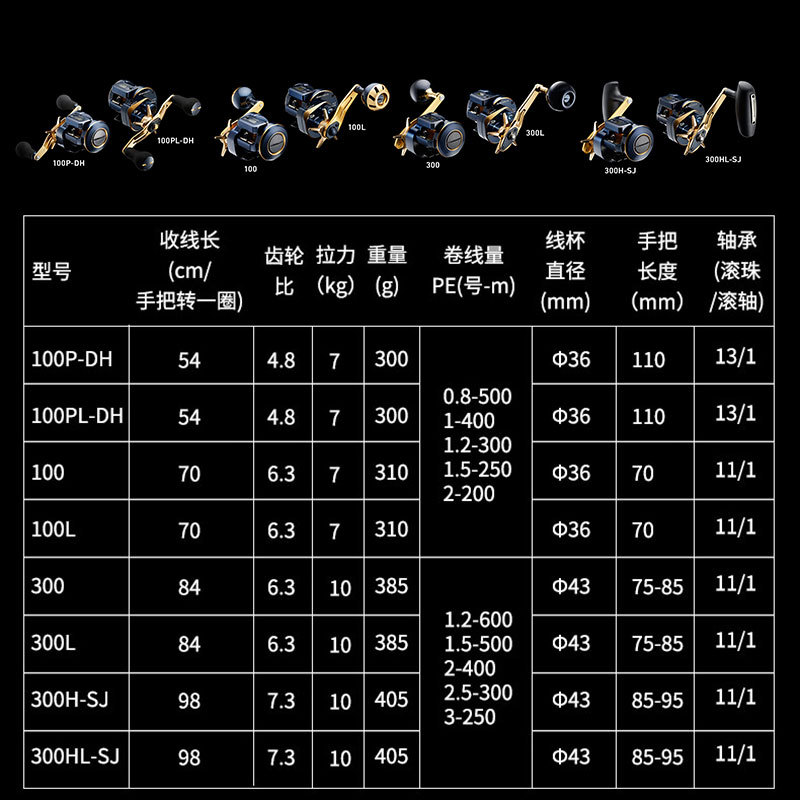 21 Japanische DAIWA Daiwa SALT – Electric Fishing Reel Bewertung und Preis